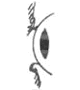 Image of Deutsch-Drahthaar eye and eyelid alignment in the case of Ectropium