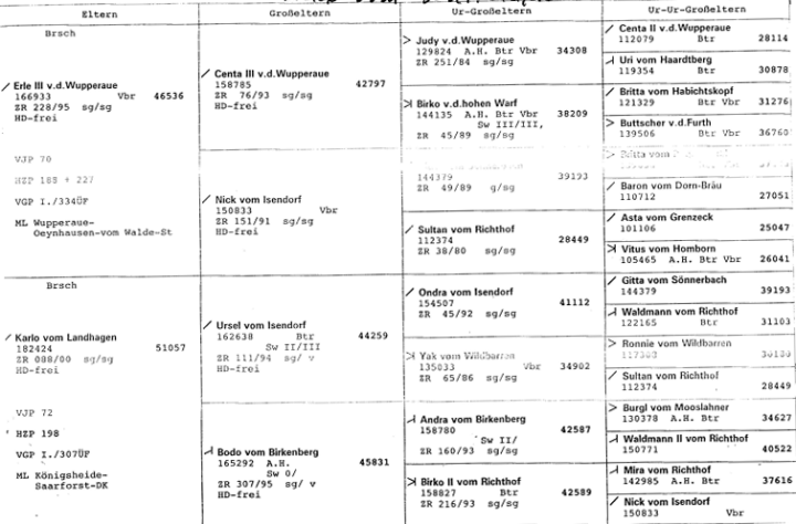Lord III v.d. Wupperaue Pedigree